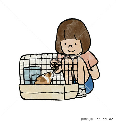 モルモットのお世話のイラスト素材