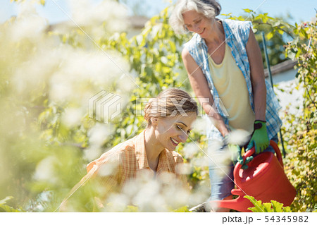 Senior and young woman gardening together 54345982