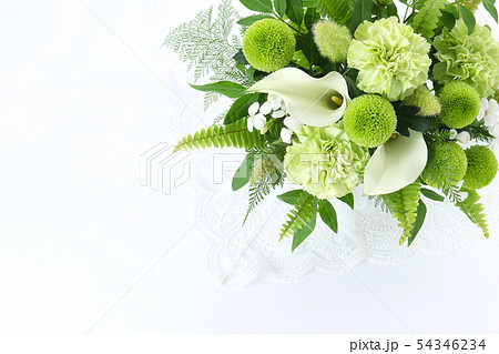 ライムグリーンアレンジ 54346234