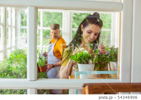 Florist taking care of plants in front of her colleague. 54346906
