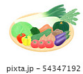 野菜 54347192