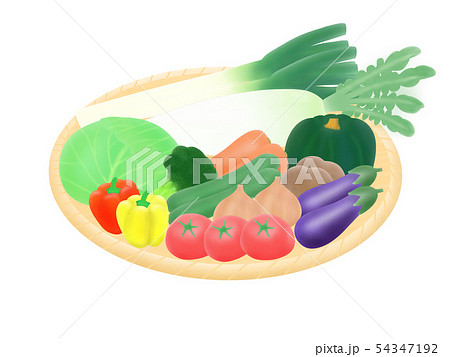 野菜 54347192