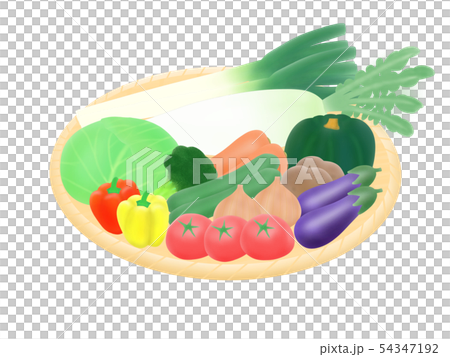 野菜 54347192