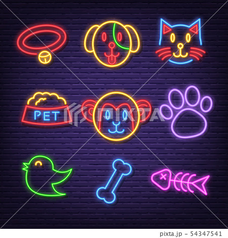 pet neon icons pet neon icons 54347541