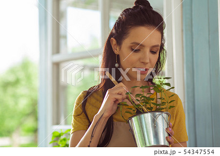 Florist loosening the ground in flower pot in her hands. Florist loosening the ground in flower pot in her hands. 54347554