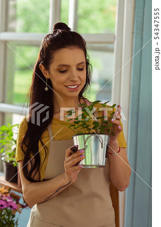 Joyful florist stroking a plant in her hands. 54347555