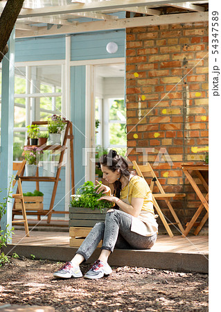 Concentrated florist looking through a plant outside. Concentrated florist looking through a plant outside. 54347589