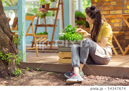 Florist sitting at a wooden summer terrace. Florist sitting at a wooden summer terrace. 54347674