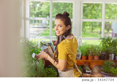 Florist talking to customers in her shop. 54347734