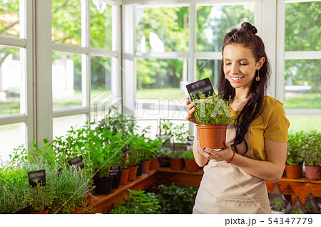 Beautiful flowershop seller holding a flower pot. Beautiful flowershop seller holding a flower pot. 54347779