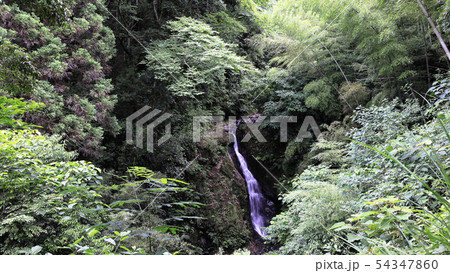 平八重川の滝 平八重川の滝 54347860