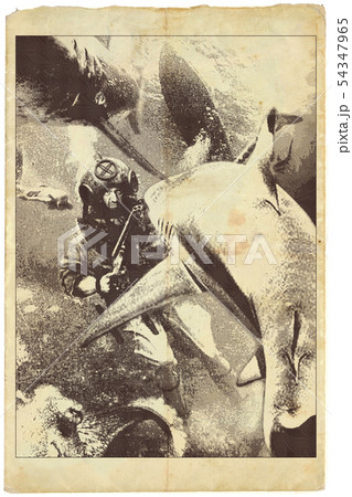 sharks - engraved vintage illustration, fighting sharks - engraved vintage illustration, fighting 54347965