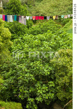 Drying clothes, Maia town on Sao Miguel island, Drying clothes, Maia town on Sao Miguel island, 54348426