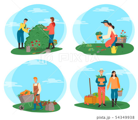 Farmers Working On Plantation Harvesting Peopleのイラスト素材