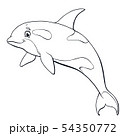 The killer whale jumps contour line on white 54350772