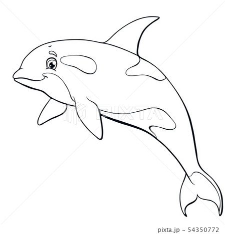 The killer whale jumps contour line on white The killer whale jumps contour line on white 54350772
