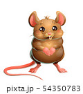 The cute brown mouse on white background 54350783