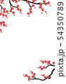The background cherry branch on white vertical 54350789