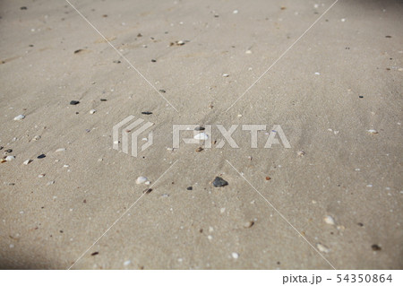 浜 海 潮 54350864