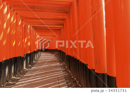 京都・伏見稲荷大社・千本鳥居 54351731