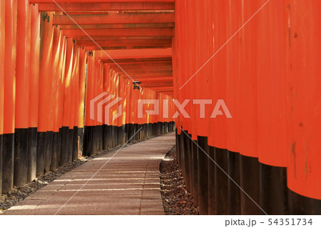 京都・伏見稲荷大社・千本鳥居 京都・伏見稲荷大社・千本鳥居 54351734
