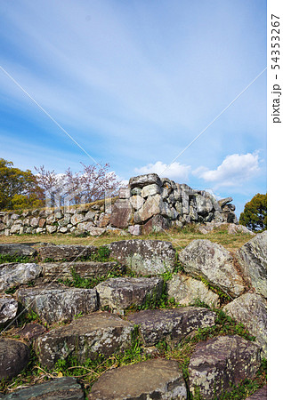 田丸城の天守台 54353267