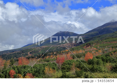 十勝岳望岳台の紅葉 ( 北海道 / 美瑛町 / 望岳台 ) 十勝岳望岳台の紅葉 ( 北海道 / 美瑛町 / 望岳台 ) 54353654