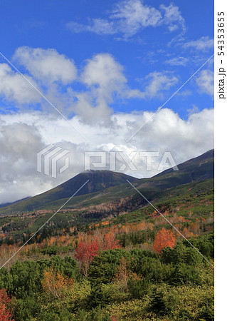 十勝岳望岳台の紅葉 ( 北海道 / 美瑛町 / 望岳台 ) 十勝岳望岳台の紅葉 ( 北海道 / 美瑛町 / 望岳台 ) 54353655