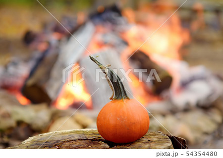 Pumpkin on background of bonfire on halloween Pumpkin on background of bonfire on halloween 54354480