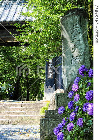 紫陽花咲く山門（縦） 54354927