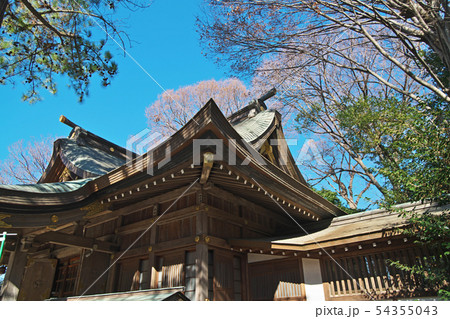 平塚　前鳥神社　本殿 54355043