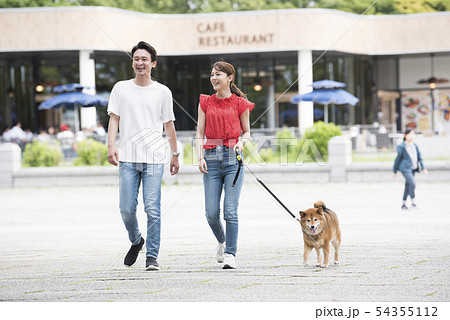 公園を散歩する柴犬と夫婦 54355112