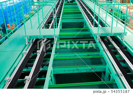 コンベア 54355187