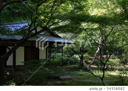 旧古河庭園 茶室 外観の写真素材
