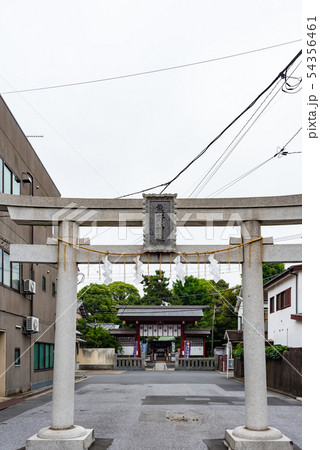 葛飾区熊野神社 54356461