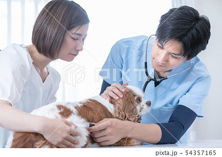 獣医さんと飼い主 54357165