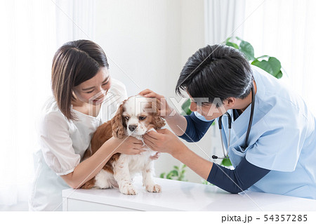 獣医さんと飼い主 54357285