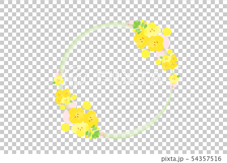 菜の花フレーム 54357516