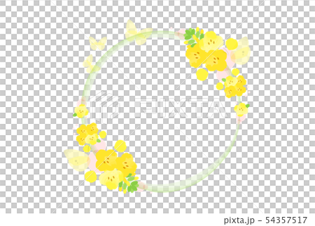 菜の花フレーム 54357517