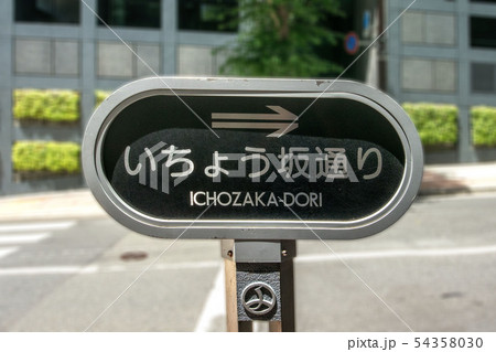 いちょう坂通り いちょう坂通り 54358030