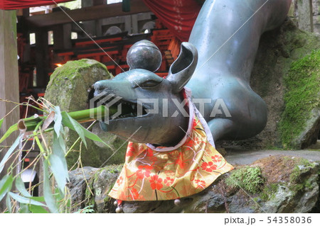 狐の手水 拡大　伏見稲荷大社 54358036