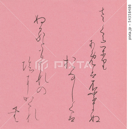 さくらがり 54358486