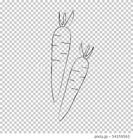 にんじん ゆるいモノクロ線画イラスト にんじん ゆるいモノクロ線画イラスト 54359563