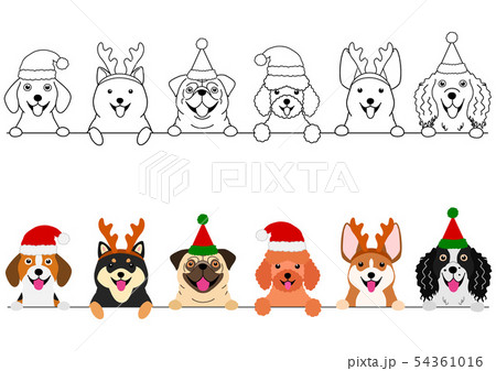 笑顔の小型犬のボーダー　クリスマス 54361016