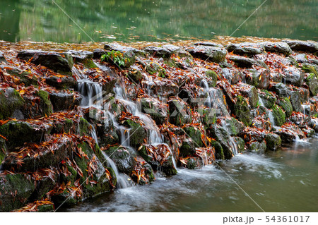 写真 自然 風景 54361017