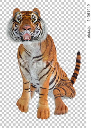 ジャングルの王者☆虎 54361449