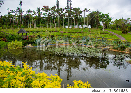 沖縄 東南植物楽園 水上楽園の池 看板付き 沖縄 東南植物楽園 水上楽園の池 看板付き 54361688