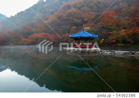 写真 自然 風景 54362386