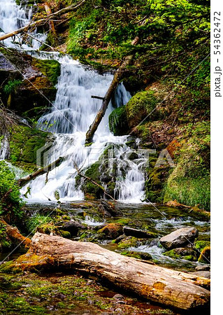 白金不動の滝 美瑛町 白金不動の滝 美瑛町 54362472