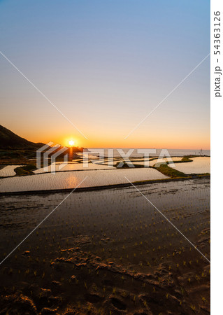 棚田夕景 棚田夕景 54363126